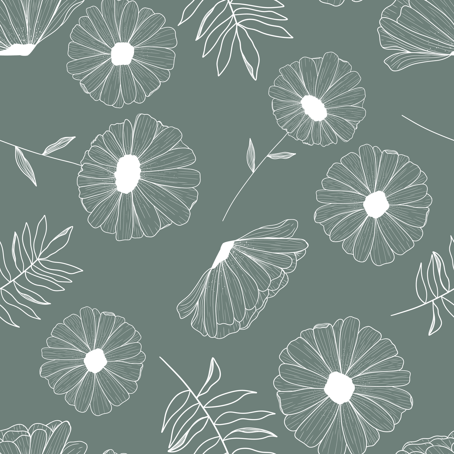 WallFlower ID215